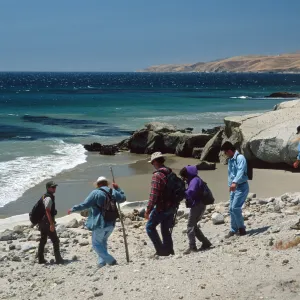 Santa Rosa Island, South side near East Point