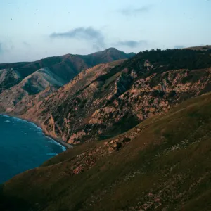 Santa Cruz Island, China Pines at dusk