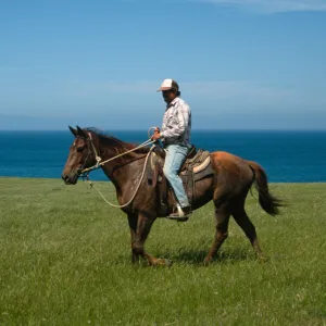 Santa Rosa Island, vaquero, Beechers Bay