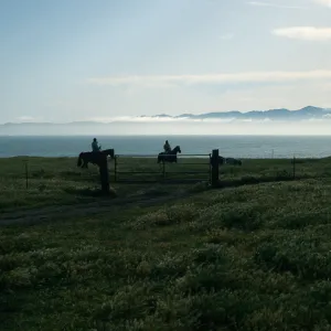 Santa Rosa Island, vaqueros, Beechers Bay
