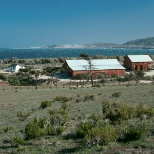 Santa Rosa Island, Vail Ranch