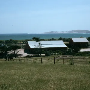 Santa Rosa Island, Vail Ranch