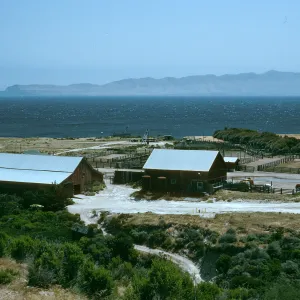 Santa Rosa Island, Vail Ranch