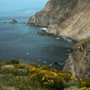 Middle Anacapa Island, view of South side & Cat Rock