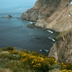 Middle Anacapa Island, view of South side & Cat Rock