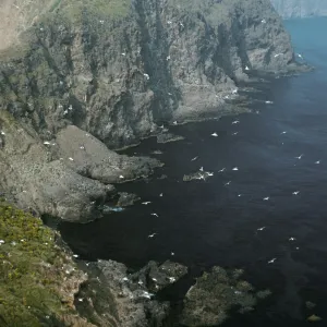 Middle Anacapa Island, overlooking East Fish Camp