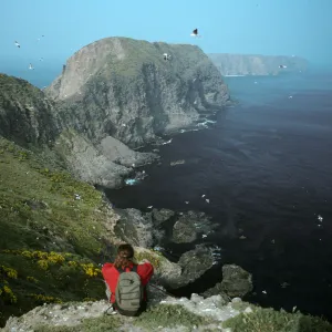 Middle Anacapa Island, David Rosen, overlooking East fish Camp