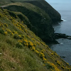 Middle Anacapa Island, view of S-facing side