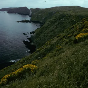 Middle Anacapa Island, view of S-facing side & East Anacapa Island