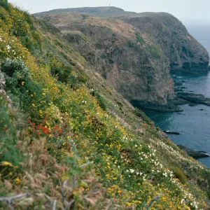Middle Anacapa Island offshore slopes, West end