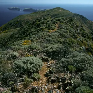 West Anacapa Island, East of Summit Peak, looking East