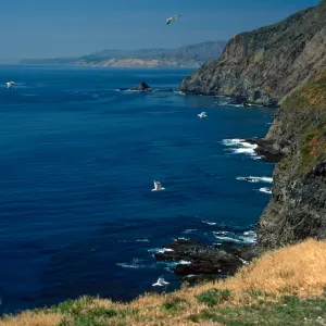 Middle Anacapa Island, South side of Middla Anacapa, looking West toward Cat Rock & Santa Cruz Island