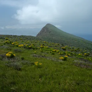 West Anacapa Island, looking West