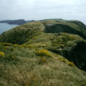 Middle Anacapa Island, terrace, looking East from near West end