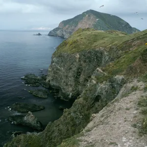 Middle Anacapa Island, view of South side, West Anacapa Island