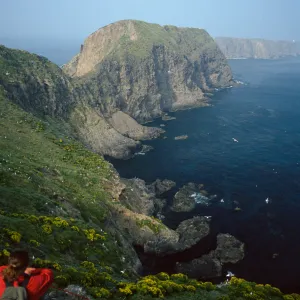 Middle Anacapa Island, Dave Rosen, overlooking East Fish Camp