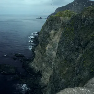 Middle Anacapa Island, view of South side & Cat Rock