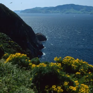 West Anacapa Island, view of Santa Cruz Island 