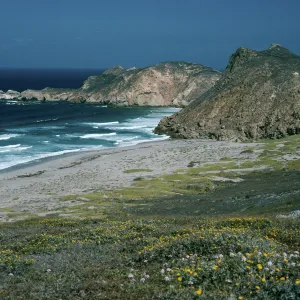 San Miguel Island, Lester Point & Harris Point view