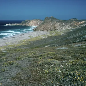 San Miguel Island, view of Harris Point & Lester Point