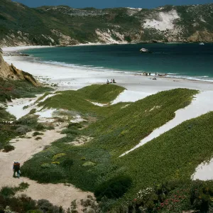 San Miguel Island, dunes, Cuyler Harbor