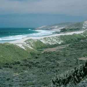 San Miguel Island, Cuyler Harbor, dunes, East of Cañada Del Mar