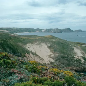 San Miguel Island, Cuyler Harbor from Hoffmann Point