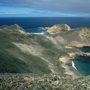 San Miguel Island, Harris Point from Devils Knoll