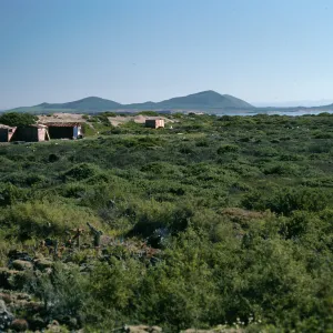 San Martin Island, looking toward San Quintin, Baja from behind village