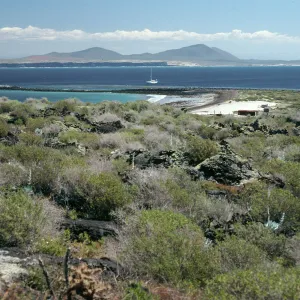 San Martin Island, view of mainland, Hasslers Cove