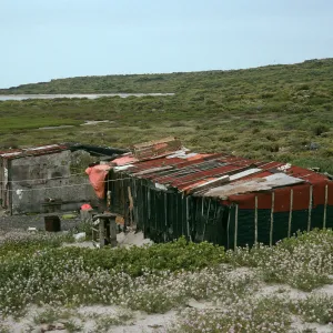 San Martin Island, fishing village, Hasslers Cove (Cakile)
