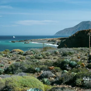 Cedros Island, North of Campo Punta Norte