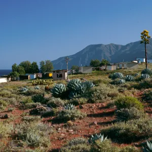 Cedros Island, Campo Punta Norte