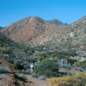 Cedros Island, mouth of Cañada de la Mina
