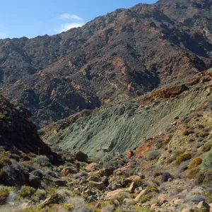 Cedros Island, Arroyo Choyal
