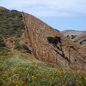 Santa Cruz Island, sheep damage, fenceline - South side, just West of Montañon Canyon