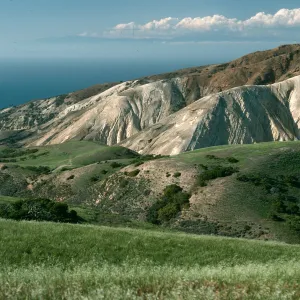 Santa Cruz Island, near China Pines