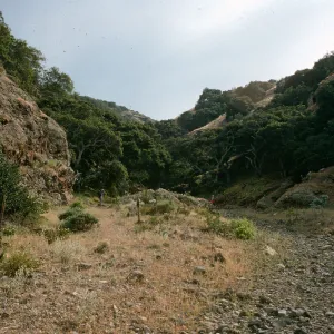 West Twin Canyon, Santa Cruz Island