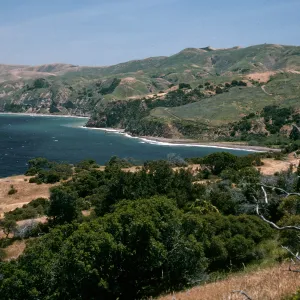 looking toward Prisoners Harbor, Santa Cruz Island