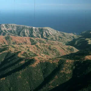Willows Canyon, Santa Cruz Island