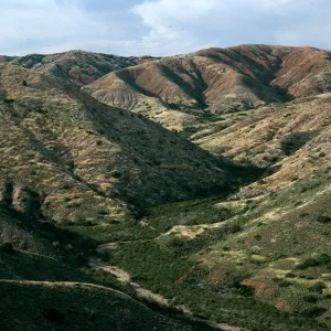 upper Willows Canyon, Santa Cruz Island