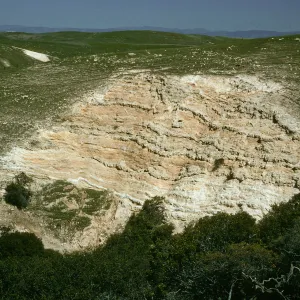 Montmorillonite shale, Scorpion Canyon, Santa Cruz Island