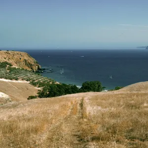 Smugglers Cove, Santa Cruz Island