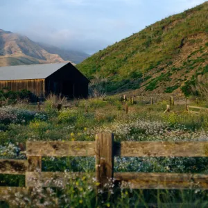 Christy barn, Santa Cruz Island