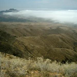 fog over Christy barn, trail to marker “John”, Santa Cruz Island