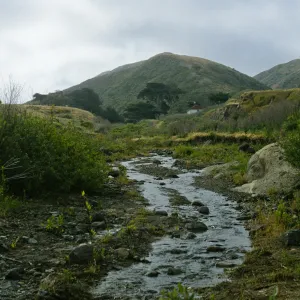 lower Christy Creek, Santa Cruz Island