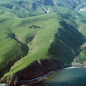 Scorpion Canyon, Santa Cruz Island