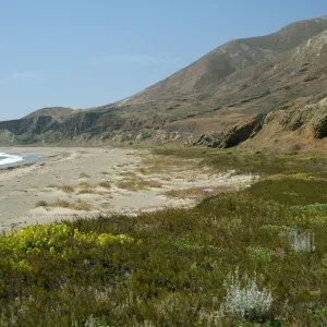 Pozo Beach, looking West, Santa Cruz Island