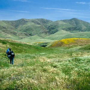 near Chumash House pits, West end, Santa Cruz Island