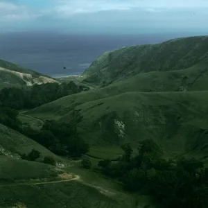 Scorpion Canyon, Santa Cruz Island